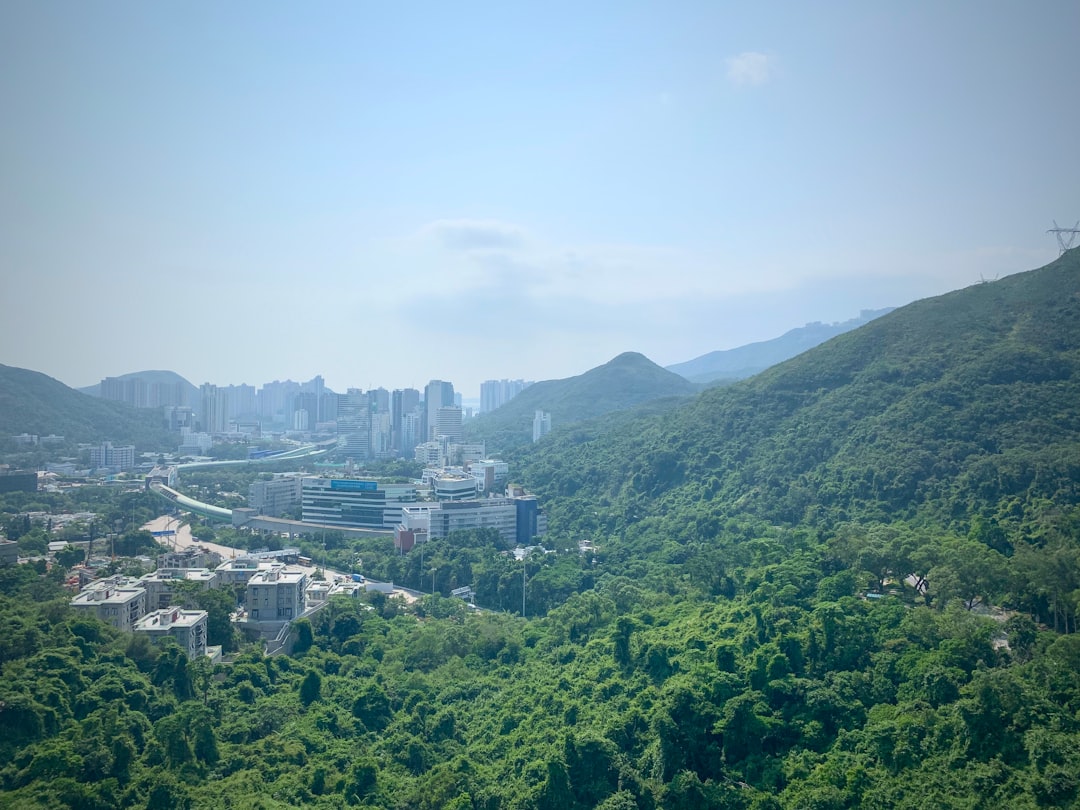 大灣區城市景觀