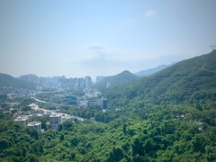 珠海中山樓市2026現「價格窗口」 港人北上置業回歸自用價值