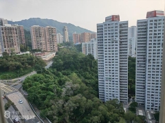 萊坊：首五個月全港寫字樓租金累升4.8% 豪宅成交按月增27.1% 逾億豪宅新盤將延續旺勢
